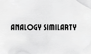 ANALOGY SIMILARTY