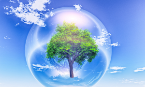 Biosphere