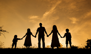 BLOOD RELATION