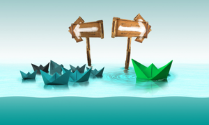 BOAT & STREAMS