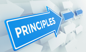 Directive Principles of State Policy