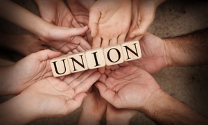 Executive of the Union