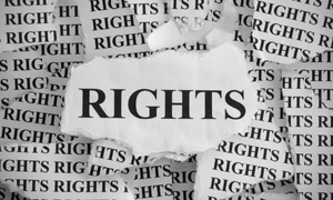Fundamental Rights