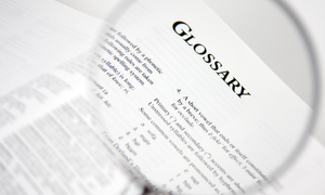 Glossary of Constitutional Terms