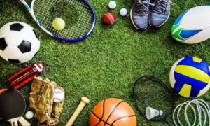 Haryana Sports