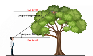 HEIGHT & DISTANCE