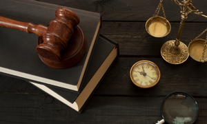 Important Articles of the Constitution