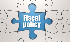 Indian Fiscal System