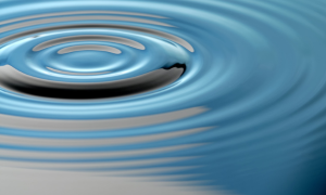 Simple Harmonic Motion