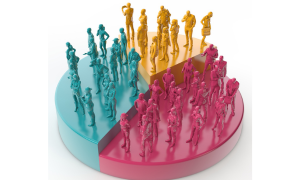 Socio Economic and Caste Census 2011