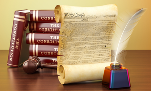 Some Special features of the Indian Constitution