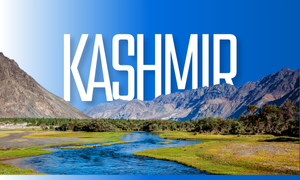 Special Position of J & K