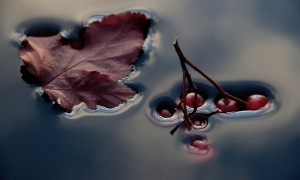 Surface Tension